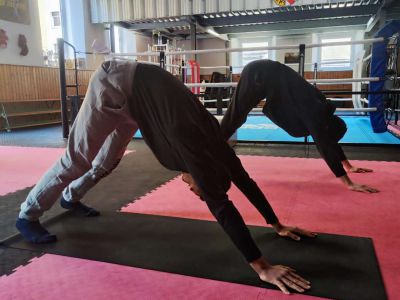 Retzer-Training-Yoga-Kurs-fuer-Boxer-2024-002